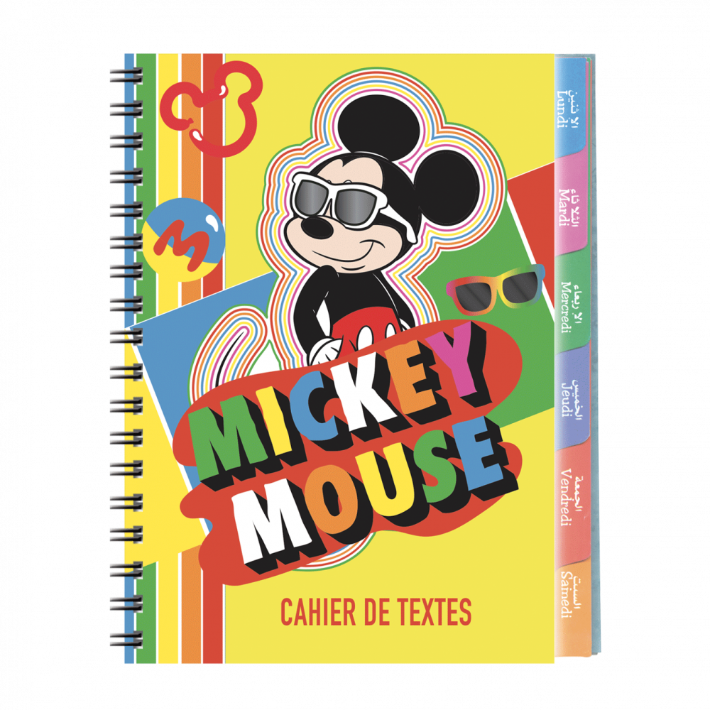 4--cahier-de-textes-Disney-17x22cm-couverture-plastique